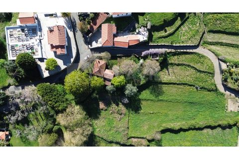 Villa a Venade e Azevedo, Viana do Castelo, Venade e Azevedo - € 170.000 | Ref: 2811 - foto 19
