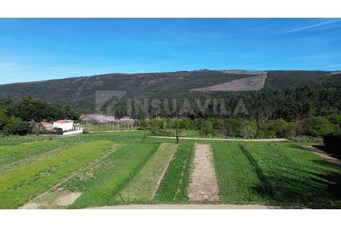 Villa a Venade e Azevedo, Viana do Castelo, Venade e Azevedo - € 170.000 | Ref: 2811 - foto 20