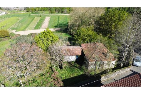 Villa a Venade e Azevedo, Viana do Castelo, Venade e Azevedo - € 170.000 | Ref: 2811 - foto 23