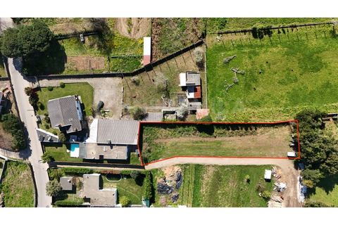 Helårsgrund i Caminha, Viana do Castelo, Caminha - € 35.000 | Ref: 2806 - foto 2