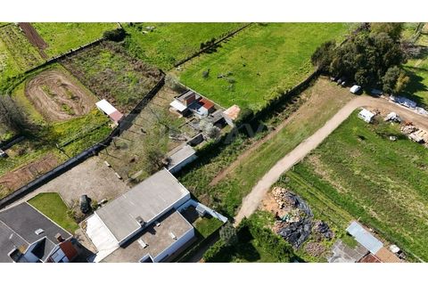 Helårsgrund i Caminha, Viana do Castelo, Caminha - € 35.000 | Ref: 2806 - foto 3