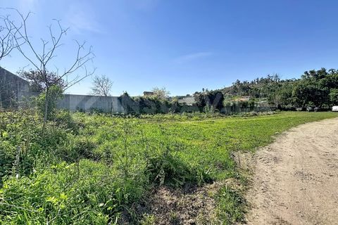 Helårsgrund i Caminha, Viana do Castelo, Caminha - € 35.000 | Ref: 2806 - foto 6