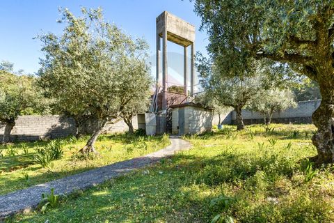 Terra a Minde, Santarem, Minde - € 98.000 | Ref: TOP2692 - foto 3