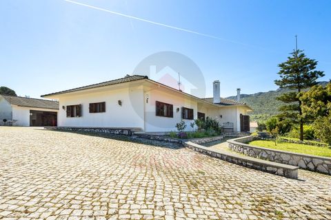 Villa em Minde, Santarem, Minde - € 495.000 | Ref: TOP2691 - foto 2
