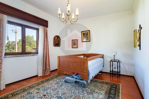 Villa em Minde, Santarem, Minde - € 495.000 | Ref: TOP2691 - foto 18
