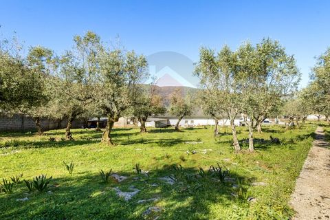 Villa em Minde, Santarem, Minde - € 495.000 | Ref: TOP2691 - foto 28