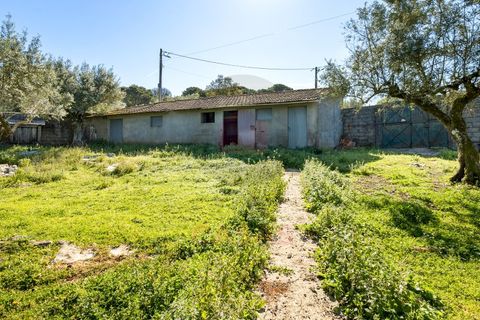 Villa em Minde, Santarem, Minde - € 495.000 | Ref: TOP2691 - foto 29