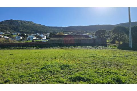 Helårsgrund i Cadaval, Lisbon, Cadaval - € 120.000 | Ref: TOP2690A - foto 2