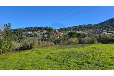 Helårsgrund i Cadaval, Lisbon, Cadaval - € 120.000 | Ref: TOP2690A - foto 5
