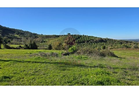 Helårsgrund i Cadaval, Lisbon, Cadaval - € 120.000 | Ref: TOP2690A - foto 6