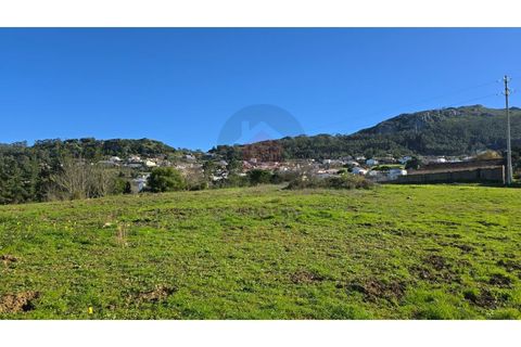 Helårsgrund i Cadaval, Lisbon, Cadaval - € 120.000 | Ref: TOP2690A - foto 7