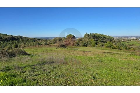 Helårsgrund i Cadaval, Lisbon, Cadaval - € 120.000 | Ref: TOP2690A - foto 8