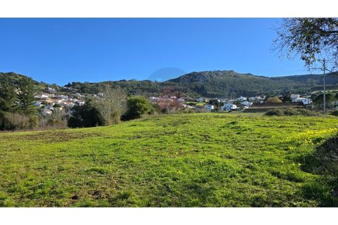 Helårsgrund i Cadaval, Lisbon, Cadaval - € 120.000 | Ref: TOP2690A - foto 10
