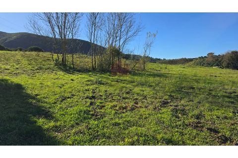 Helårsgrund i Cadaval, Lisbon, Cadaval - € 120.000 | Ref: TOP2690A - foto 11