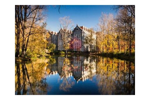 Helårsgrund i Cadaval, Lisbon, Cadaval - € 120.000 | Ref: TOP2690A - foto 19