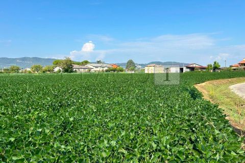 Erhvervsejendom i Castegnero, Vicenza, Castegnero - € 92.000 | Ref: Gani429 - foto 4
