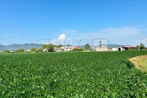 Erhvervsejendom i Castegnero, Vicenza, Castegnero - € 92.000 | Ref: Gani429 - foto 6