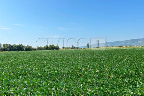 Erhvervsejendom i Castegnero, Vicenza, Castegnero - € 92.000 | Ref: Gani429 - foto 7