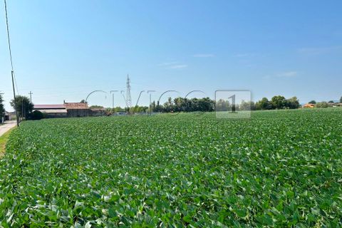 Erhvervsejendom i Castegnero, Vicenza, Castegnero - € 92.000 | Ref: Gani429 - foto 8