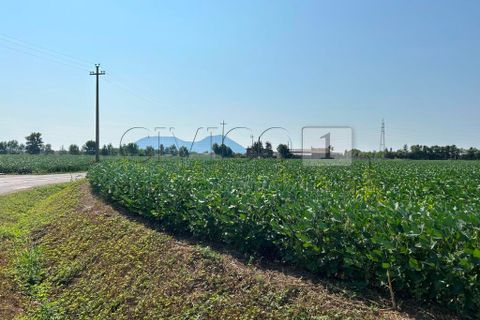 Erhvervsejendom i Castegnero, Vicenza, Castegnero - € 92.000 | Ref: Gani429 - foto 11