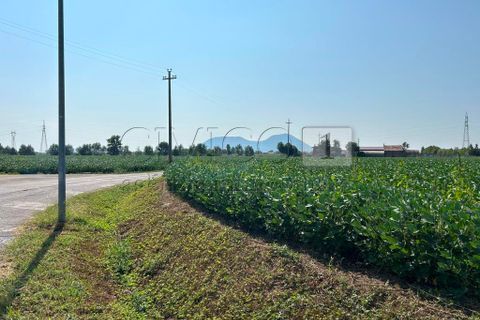 Erhvervsejendom i Castegnero, Vicenza, Castegnero - € 92.000 | Ref: Gani429 - foto 12