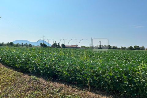 Erhvervsejendom i Castegnero, Vicenza, Castegnero - € 92.000 | Ref: Gani429 - foto 13