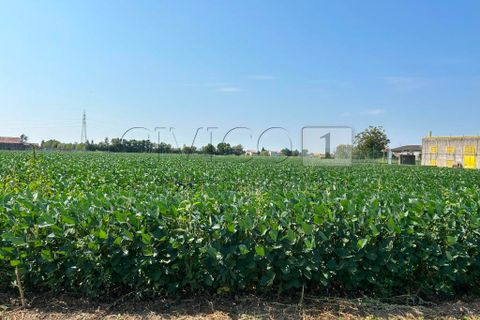 Erhvervsejendom i Castegnero, Vicenza, Castegnero - € 92.000 | Ref: Gani429 - foto 14