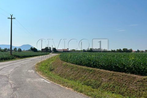 Erhvervsejendom i Castegnero, Vicenza, Castegnero - € 92.000 | Ref: Gani429 - foto 15