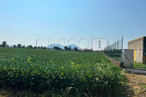 Erhvervsejendom i Castegnero, Vicenza, Castegnero - € 92.000 | Ref: Gani429 - foto 19