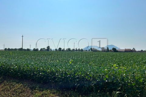 Erhvervsejendom i Castegnero, Vicenza, Castegnero - € 92.000 | Ref: Gani429 - foto 20