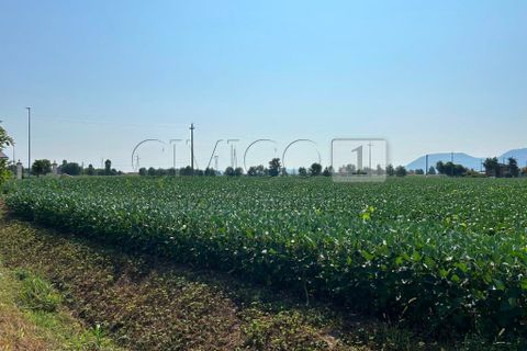 Erhvervsejendom i Castegnero, Vicenza, Castegnero - € 92.000 | Ref: Gani429 - foto 21