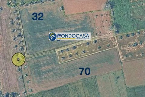 Helårsgrund i Matino, Lecce, Matino - € 28.000 | Ref: 207 - foto 1