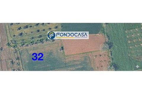 Helårsgrund i Matino, Lecce, Matino - € 28.000 | Ref: 207 - foto 2