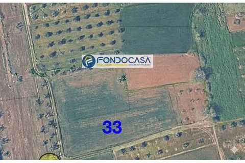 Helårsgrund i Matino, Lecce, Matino - € 28.000 | Ref: 207 - foto 3