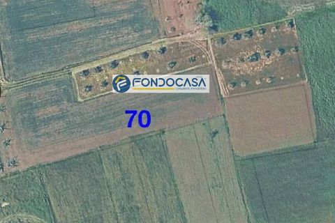 Helårsgrund i Matino, Lecce, Matino - € 28.000 | Ref: 207 - foto 4