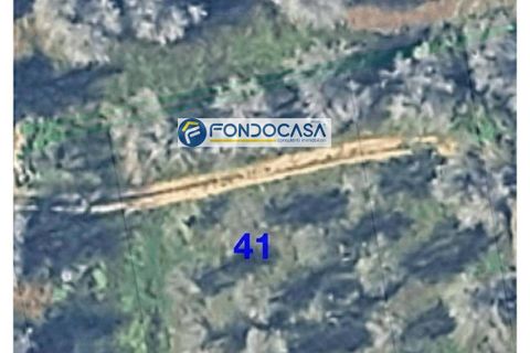 Terra a Collepasso, Lecce, Collepasso - € 30.000 | Ref: 208 - foto 5
