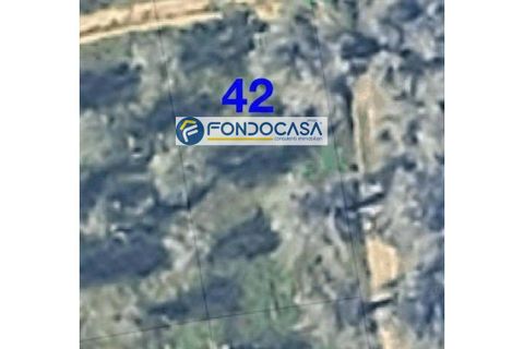 Terra a Collepasso, Lecce, Collepasso - € 30.000 | Ref: 208 - foto 6