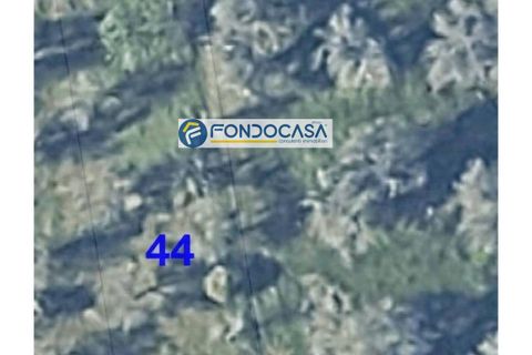 Terra a Collepasso, Lecce, Collepasso - € 30.000 | Ref: 208 - foto 8