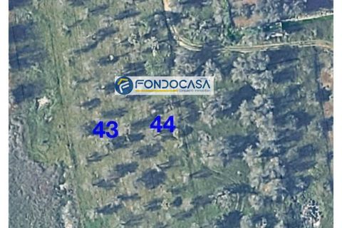 Terra a Collepasso, Lecce, Collepasso - € 30.000 | Ref: 208 - foto 9