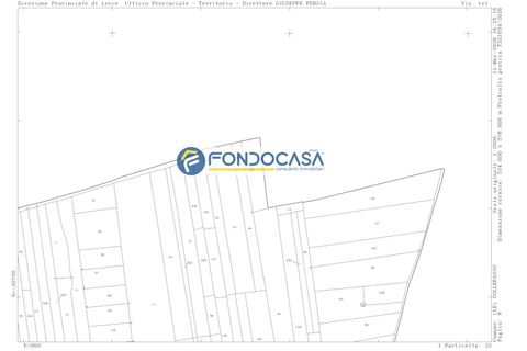 Terra a Collepasso, Lecce, Collepasso - € 30.000 | Ref: 208 - foto 13