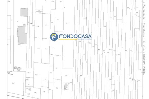 Terra a Collepasso, Lecce, Collepasso - € 30.000 | Ref: 208 - foto 17