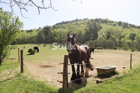 Landejendom i Allan, Drome, Allan - € 799.000 | Ref: 70531HA - foto 4