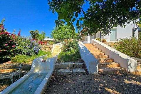 Farm i Moncarapacho, Faro, Moncarapacho - € 3.400.000 | Ref: VIL_54161 - foto 21