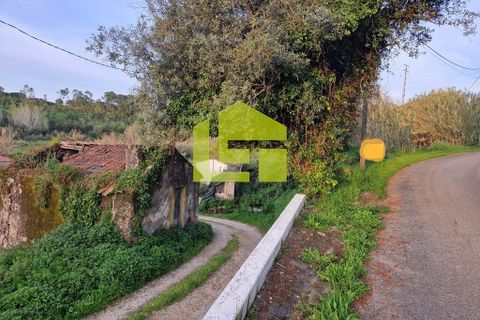 Helårsgrund i Condeixa-a-Nova, Coimbra, Condeixa-a-Nova - € 70.000 | Ref: LT1468 - foto 2