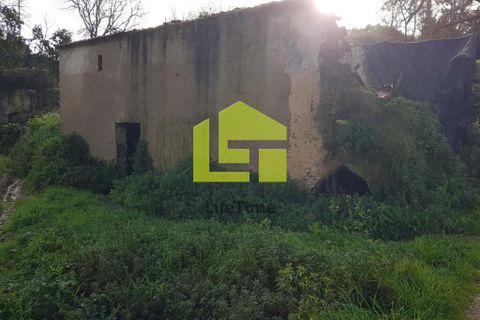 Helårsgrund i Condeixa-a-Nova, Coimbra, Condeixa-a-Nova - € 70.000 | Ref: LT1468 - foto 9
