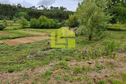 Helårsgrund i Condeixa-a-Nova, Coimbra, Condeixa-a-Nova - € 70.000 | Ref: LT1468 - foto 10