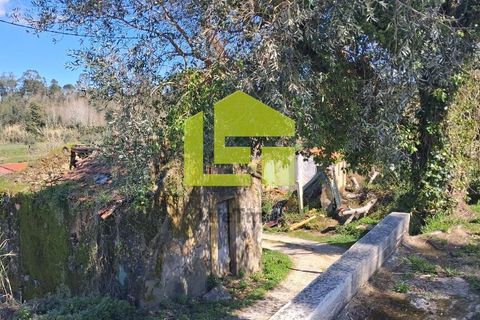Helårsgrund i Condeixa-a-Nova, Coimbra, Condeixa-a-Nova - € 70.000 | Ref: LT1468 - foto 15