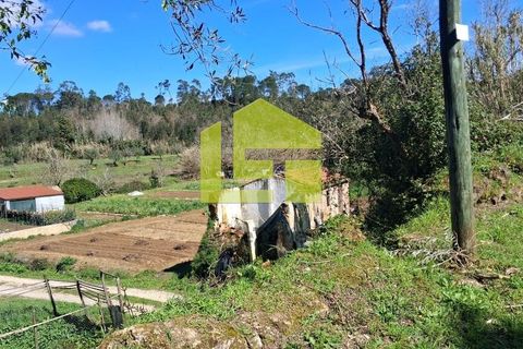 Helårsgrund i Condeixa-a-Nova, Coimbra, Condeixa-a-Nova - € 70.000 | Ref: LT1468 - foto 16