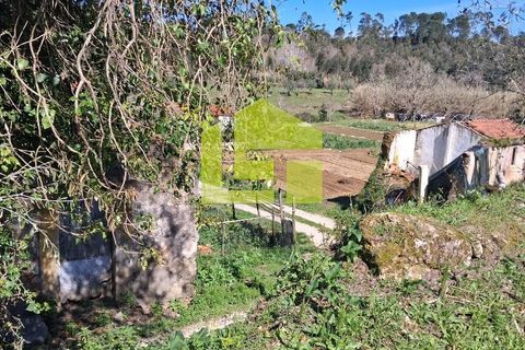 Helårsgrund i Condeixa-a-Nova, Coimbra, Condeixa-a-Nova - € 70.000 | Ref: LT1468 - foto 17