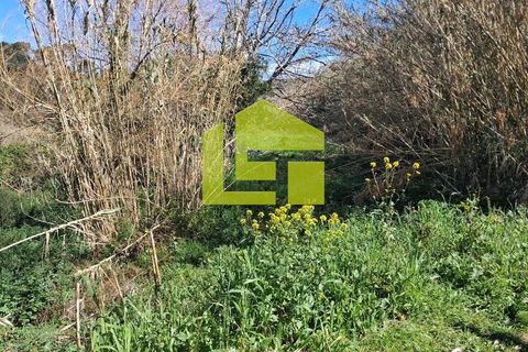 Helårsgrund i Condeixa-a-Nova, Coimbra, Condeixa-a-Nova - € 70.000 | Ref: LT1468 - foto 18